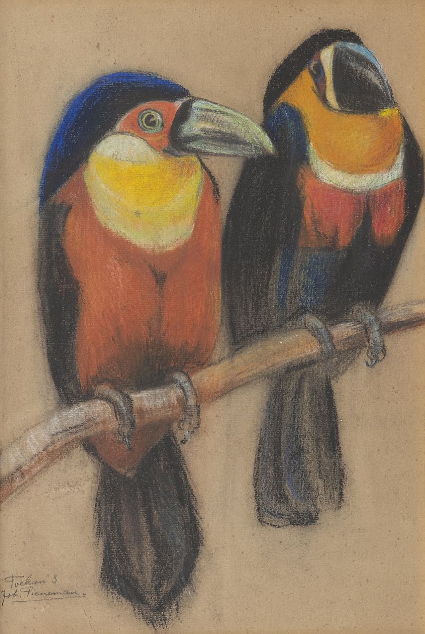 Johanna Pieneman | Two toucans, pastel on paper, 36.7 x 25.0 cm, signed l.l.