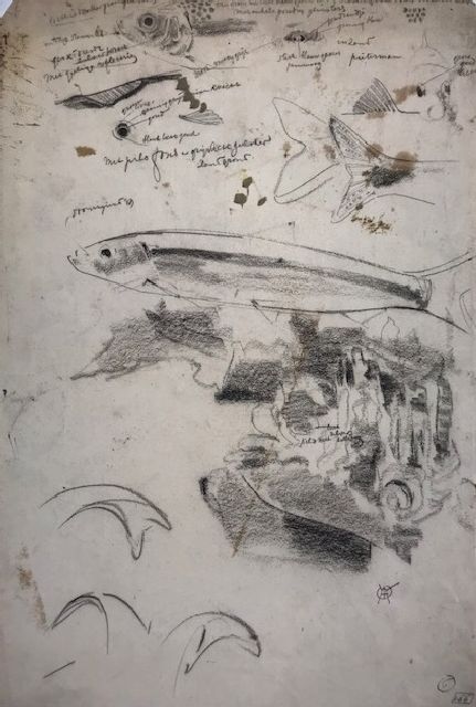 Gerrit Willem Dijsselhof | Colour study of fishes, charcoal on paper, 42.1 x 28.6 cm, signed l.r. with monogram