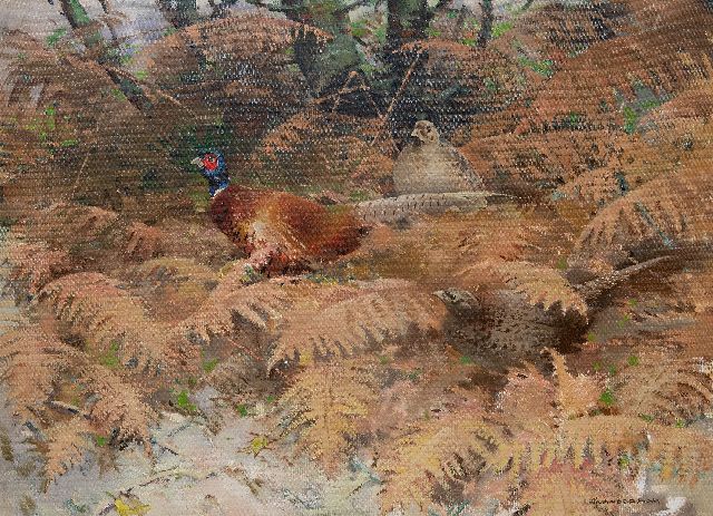 Piet van der Hem | Pheasant rooster with two hens between ferns, oil on canvas, 75.5 x 100.0 cm, signed l.r.